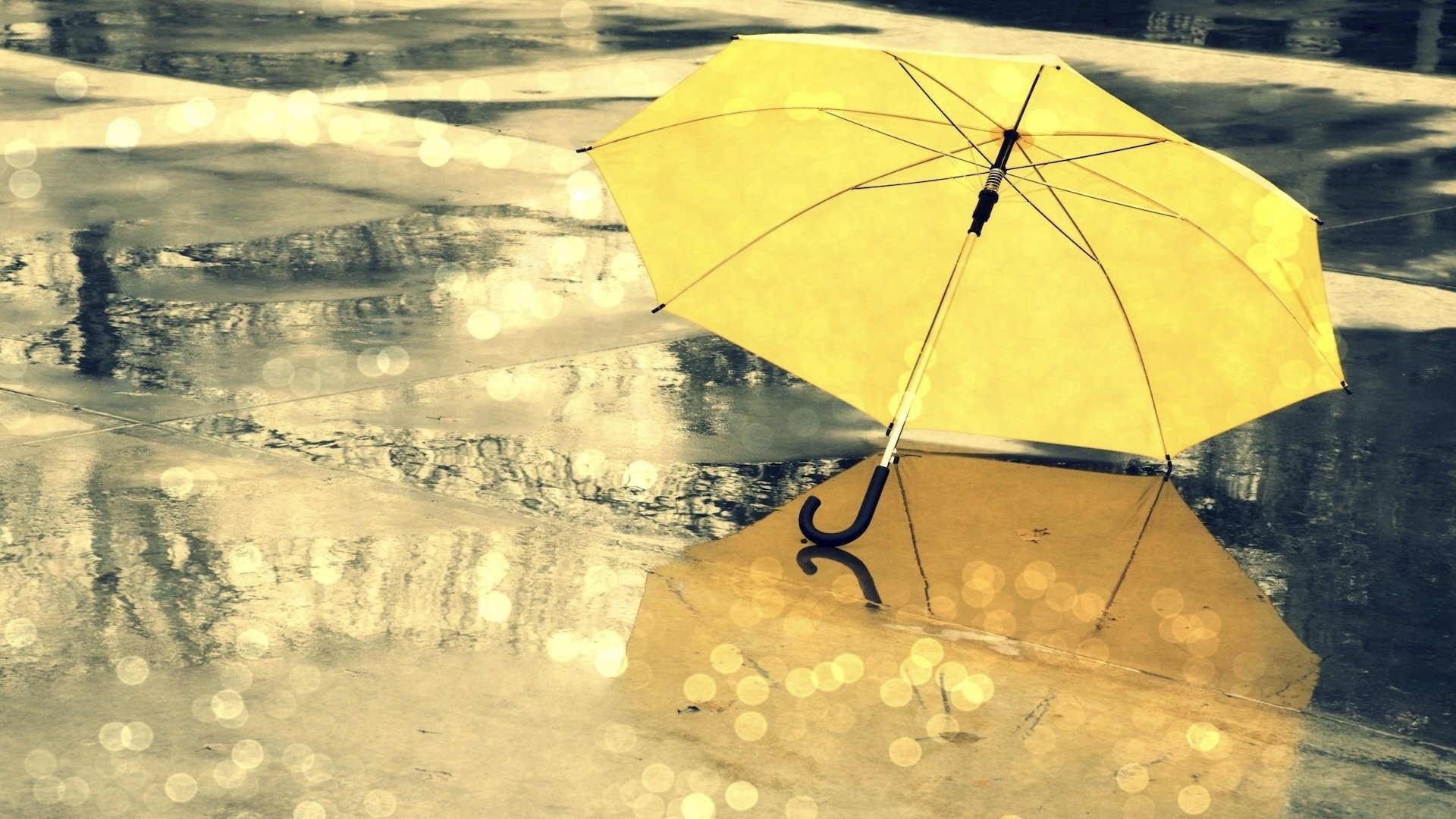 VijayERP Carousel Image